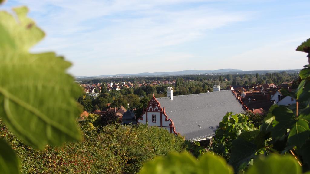 Pension Am Weinberg Bed & Breakfast Mainstockheim Exterior photo